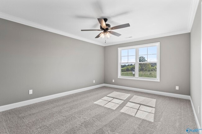 Building Photo - 245 Susan Lynn Dr