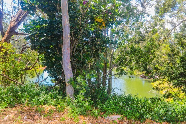 Building Photo - Kemoo by the Lake - Studio with lake views