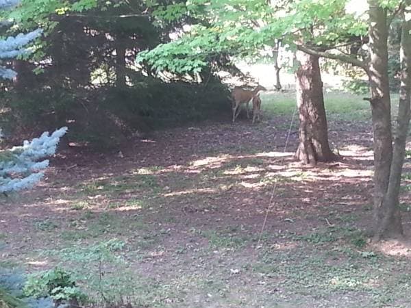 Building Photo - 5211 Portage St NW