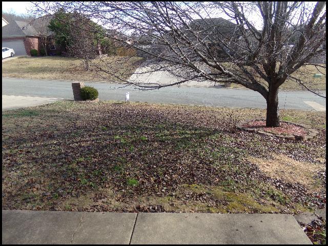 Building Photo - 12 Lauren Cove