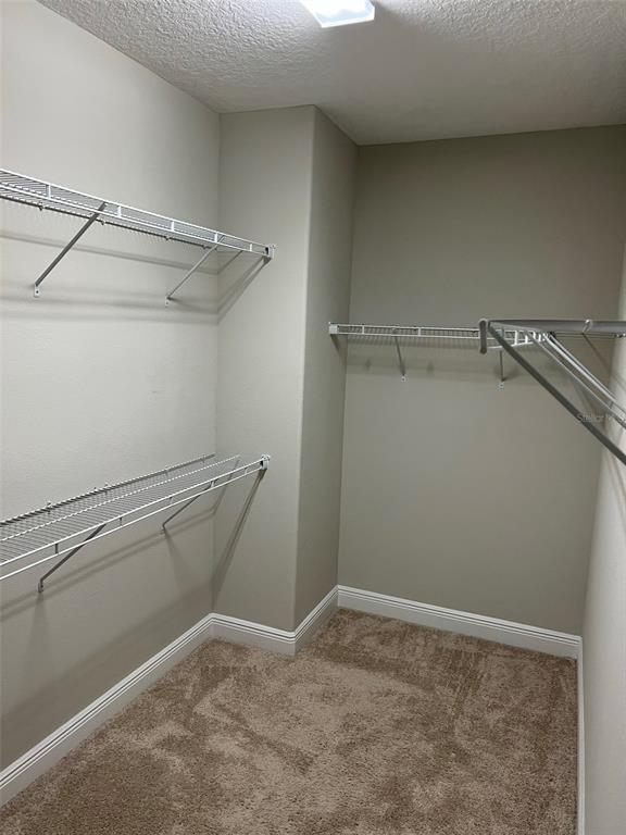 Building Photo - 2924 Lobelia Dr