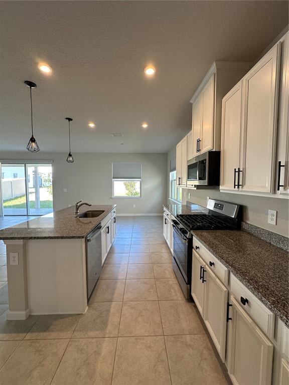 Building Photo - 3785 Blue Mountain Wy