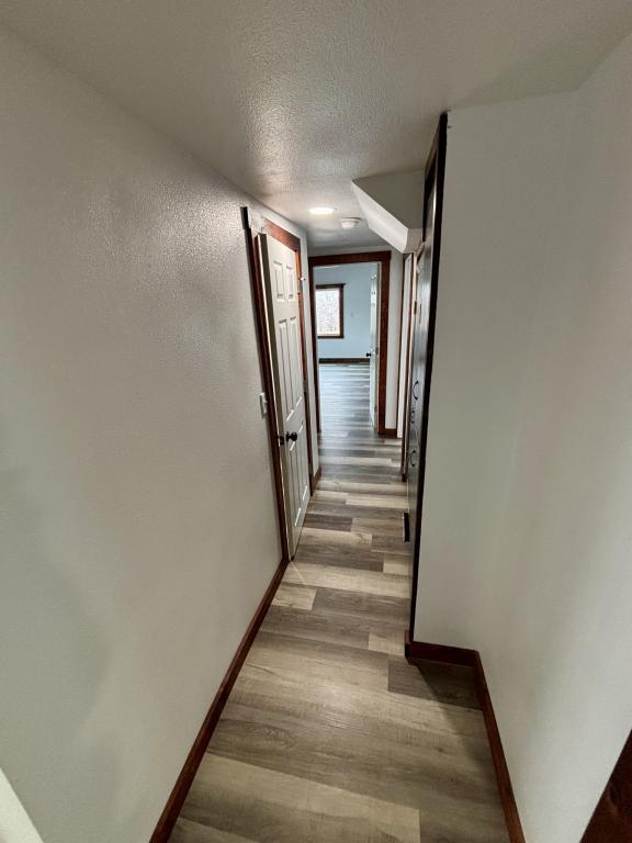 Building Photo - 360 Amoretti St