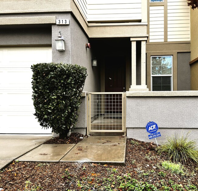 Building Photo - 133 Jacquelyn Lane, Petaluma, Ca.