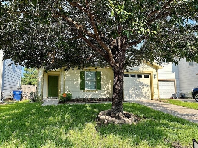 Building Photo - 29631 Evergreen Hills Dr