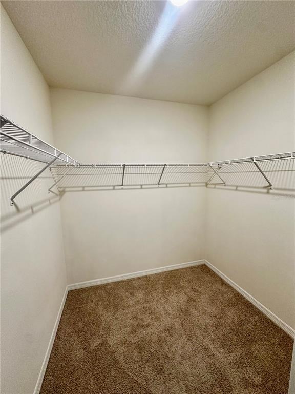 Building Photo - 260 Sofia Ln