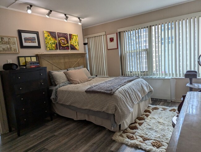 Building Photo - Incredible 1b1b in downtown Streeterville prime location