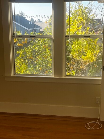 Building Photo - 917 MacArthur Blvd