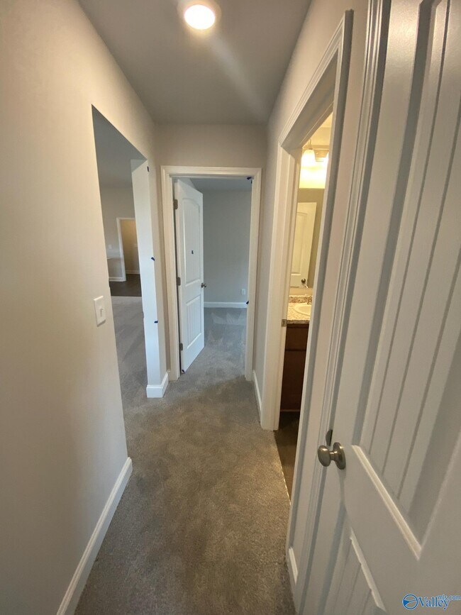 Building Photo - 213 Alonzo Toney Dr