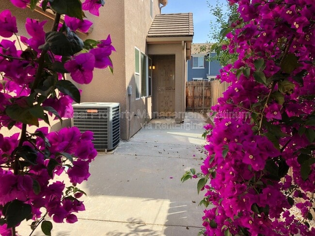Building Photo - 4437 W Pinsapo Dr
