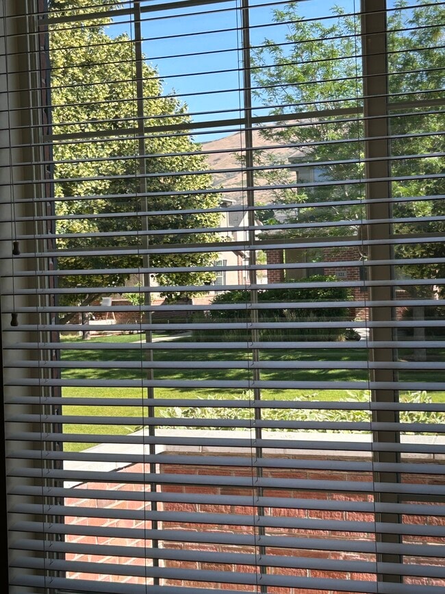 View from Living Room - 114 W 3240 N