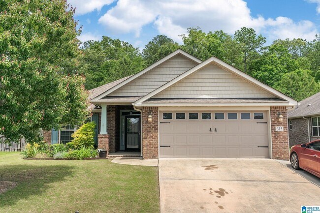 Building Photo - 315 Ivy Hills Cir