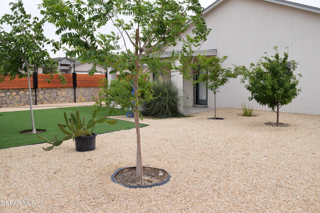 Building Photo - 355 Sol Ct