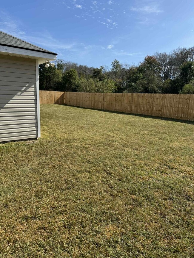 Back yard - 210 Guyett Ave