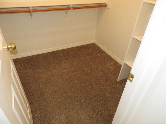 Building Photo - 3 Bedroom with large yard