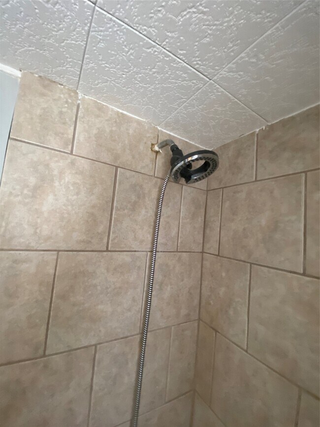 Building Photo - 109 Birchwood Dr