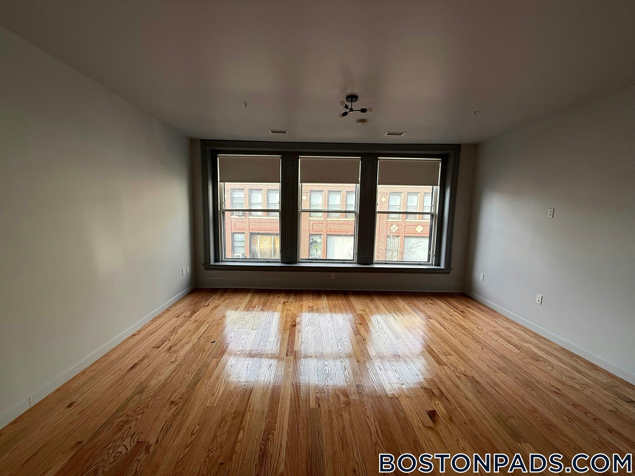 Building Photo - 145 Munroe St