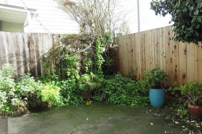 Building Photo - 489 Monterey