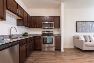 1BR Kitchen - Springwood at Allen