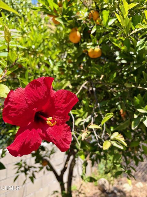 Building Photo - 1020 Garfield Ave