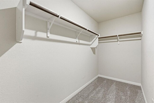 Building Photo - 825 Sun Grv Trl