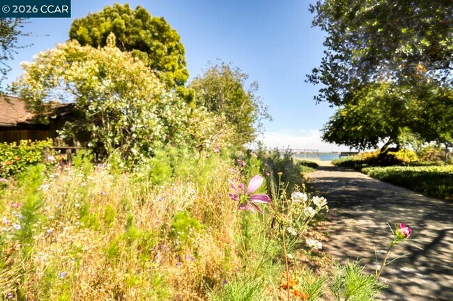 Building Photo - 1351 Eastshore Dr