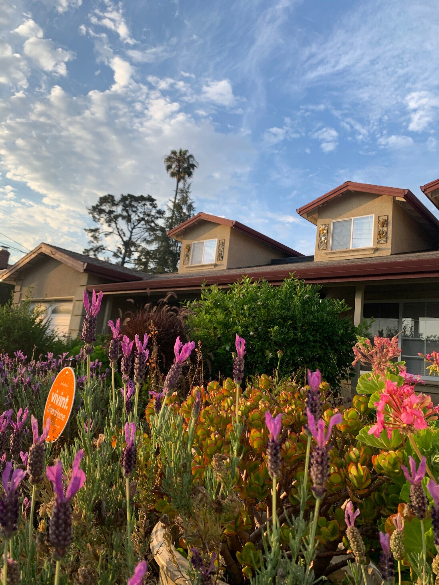 Building Photo - 4460 Stanford Ave