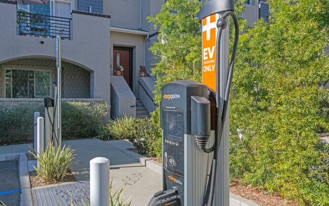 Building Photo - Beautiful contemporary design home in Bressi Ranch!