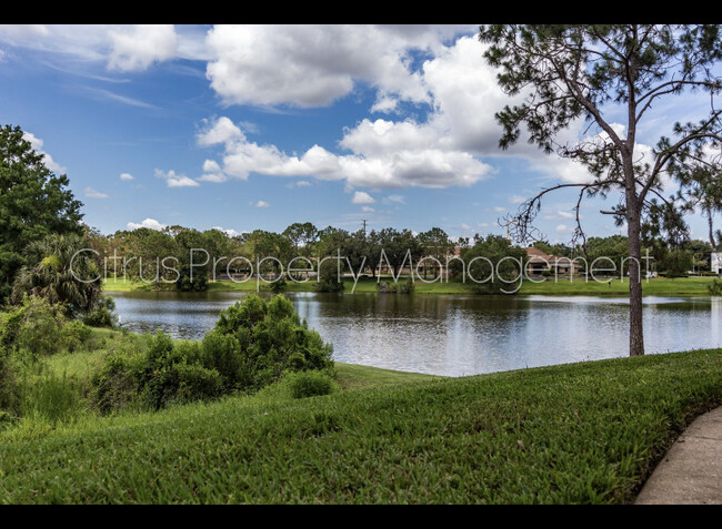 Building Photo - 2569 Grassy Point Dr