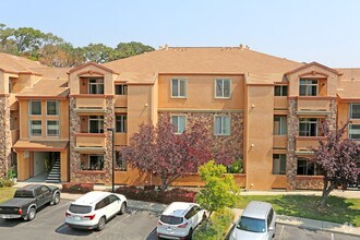 Promontory View San Ramon Ca Apartment Finder