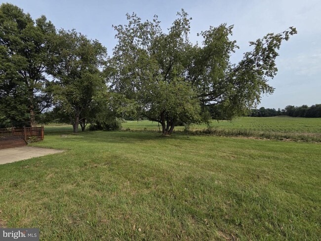 Building Photo - 41234 Bridges Farm Ln
