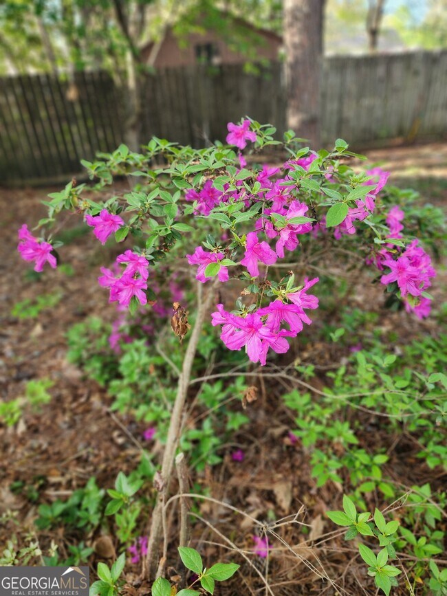Building Photo - 180 Sycamore Bend
