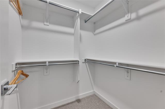 Building Photo - 3949 Bernese Dr