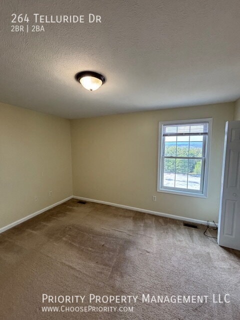 Building Photo - 264 Telluride Drive
