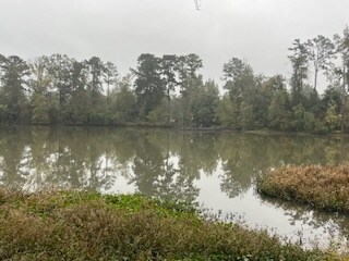 Building Photo - 629 Forest Lake Dr N