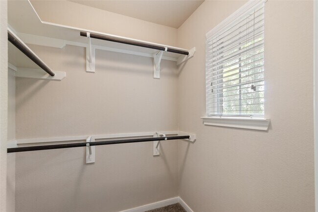 Building Photo - 31 Umbria Ln