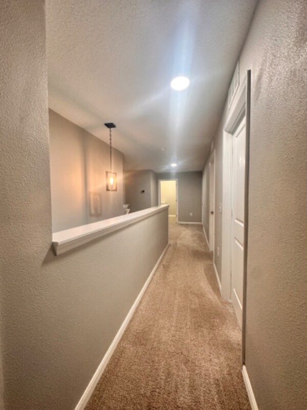 Building Photo - 4441 Lindever Ln