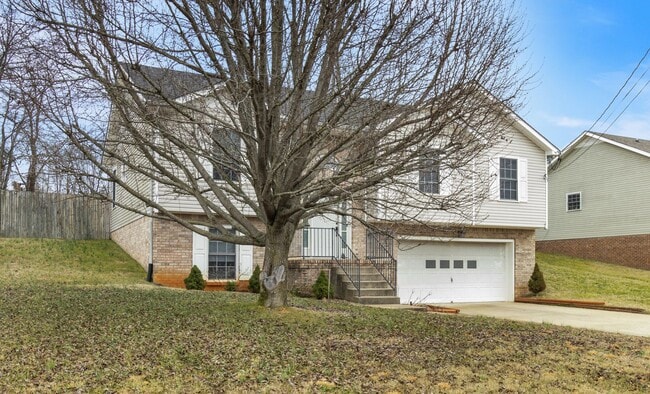 Building Photo - 1037 Persimmon Ct