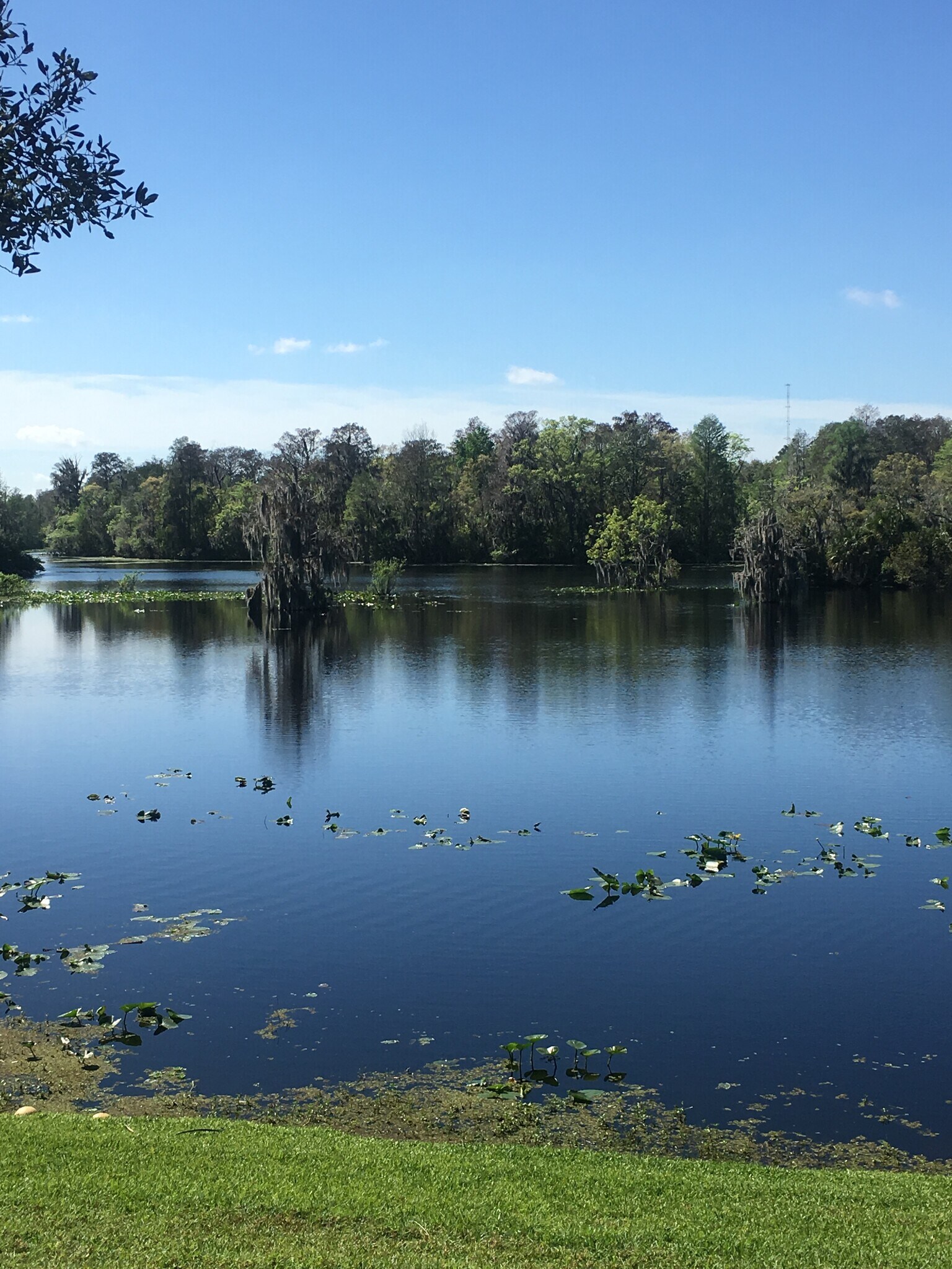 Building Photo - 7433 Terrace River Dr