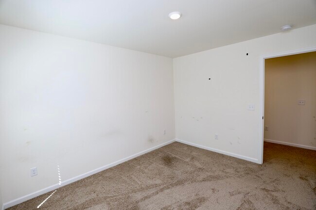 Building Photo - 1718 Canopy Dr