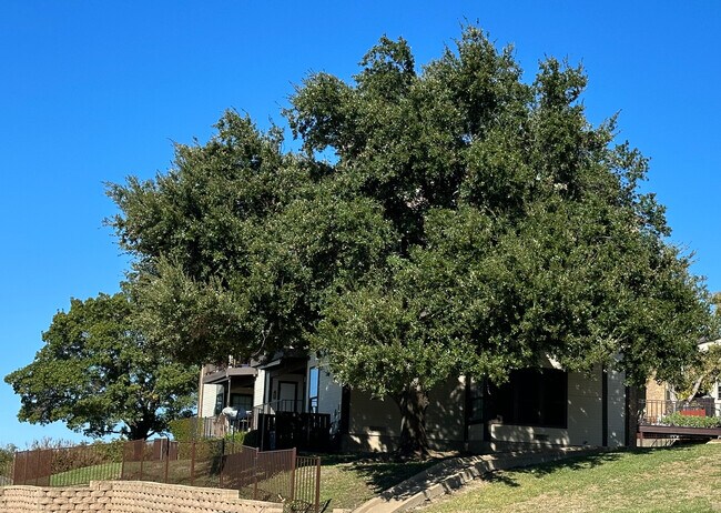Building Photo - 218 Henry Chandler Dr