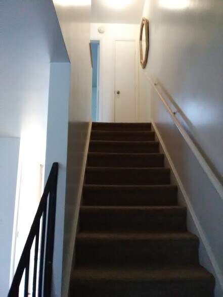 Stairs - 50 Douglas Rd