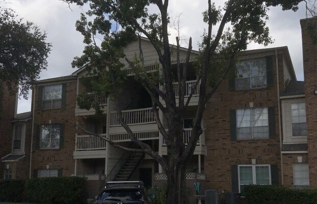 Primary Photo - 2626 Holly Hall St