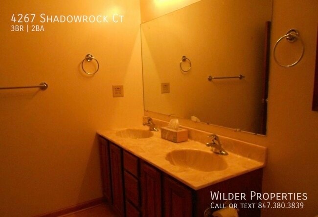 Building Photo - 4267 Shadowrock Ct