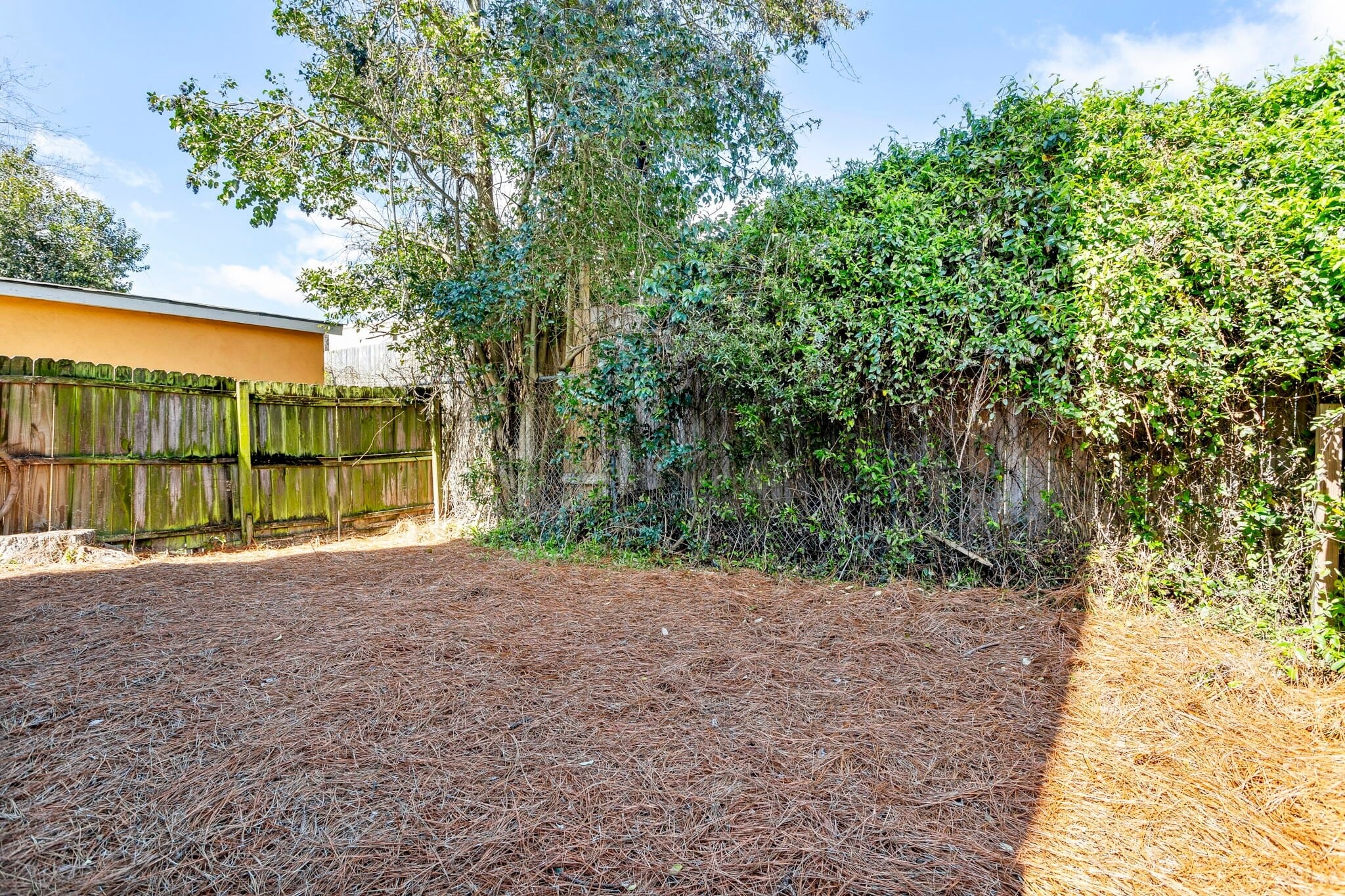 Building Photo - 2028 Arbutus Ave