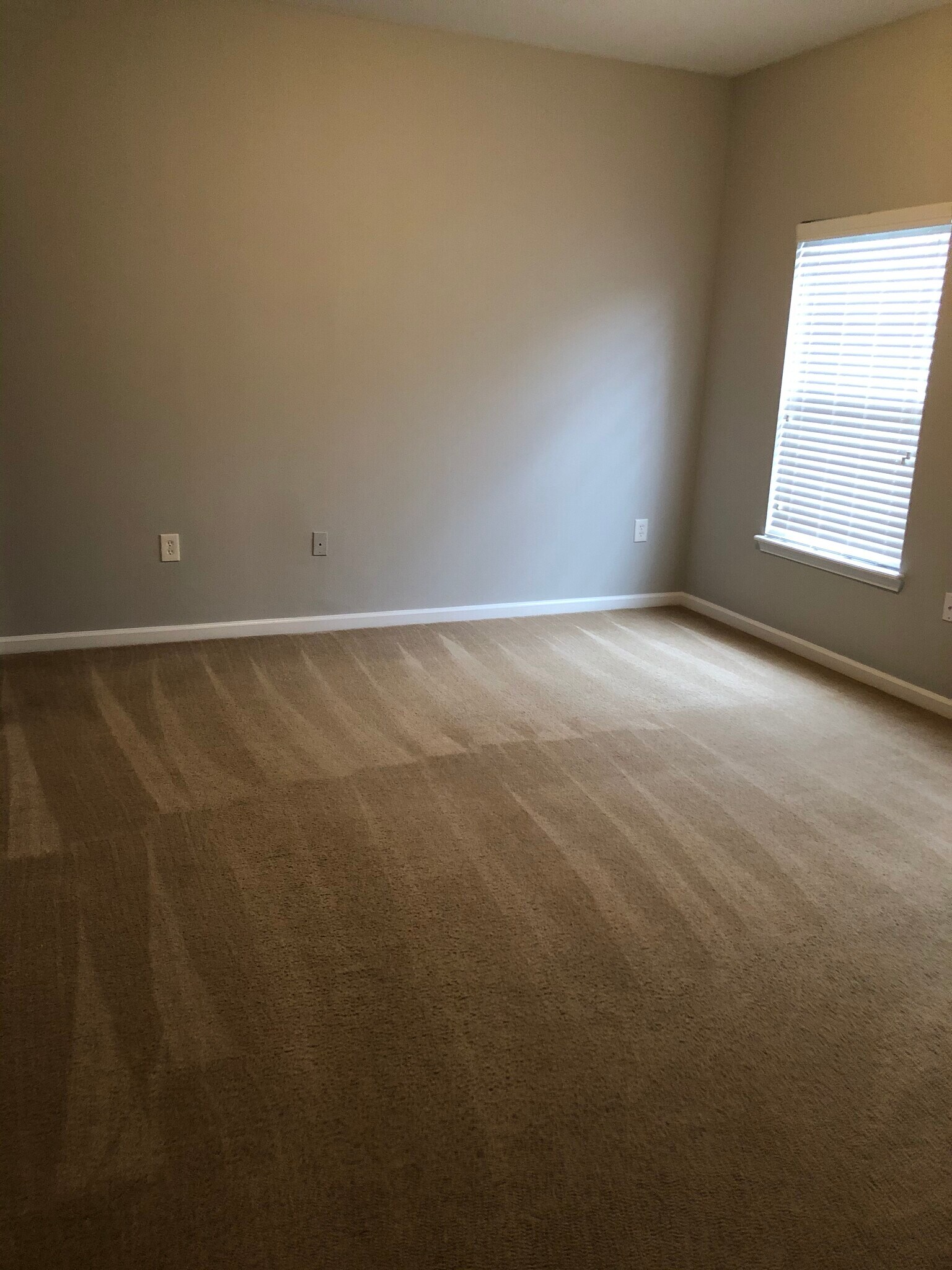 Building Photo - 8226 Green Parrot Rd