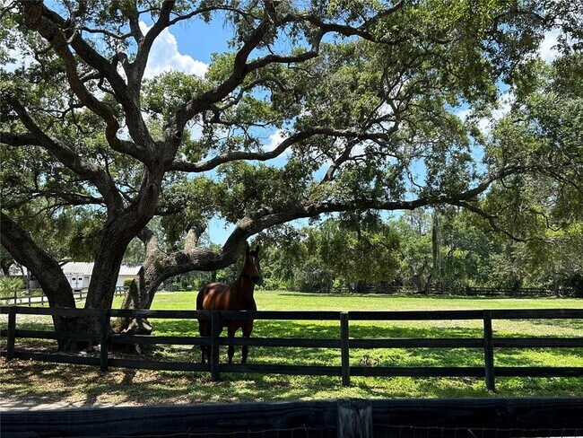 Building Photo - 2056 59th Way N