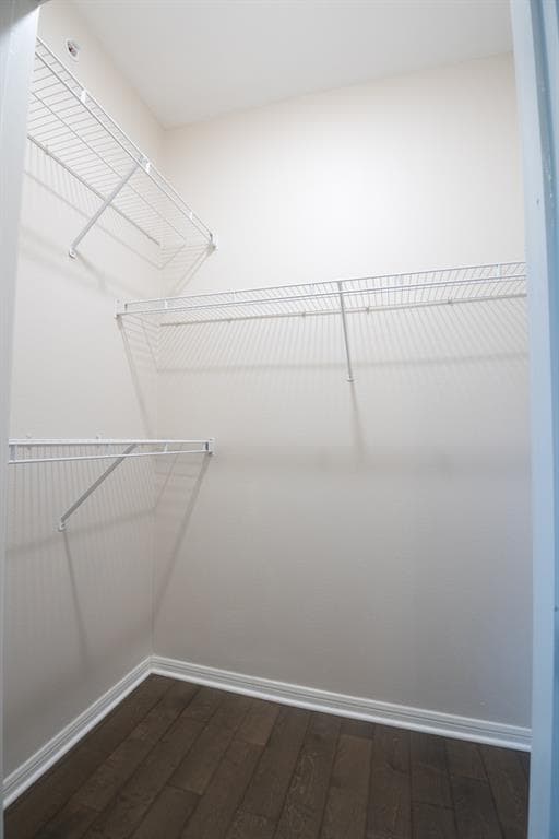Building Photo - 2320 Gracy Farms Ln