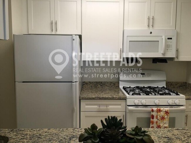 Primary Photo - 2 bedroom in Cambridge MA 02138
