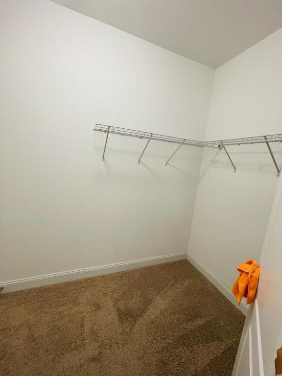 Building Photo - 3142 Hunting Lodge Rd